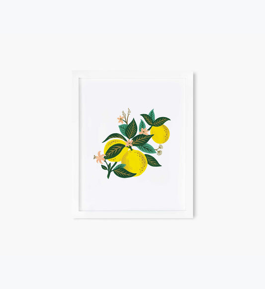 Lemon Blossom Art Print