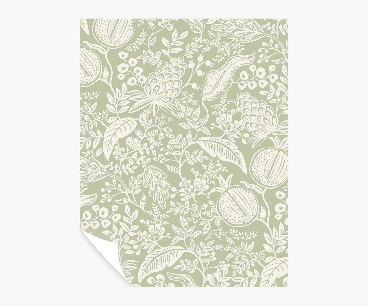 Pomegranate Peel & Stick Wallpaper Sample - Pistachio & White - Peel and Stick Wallpaper