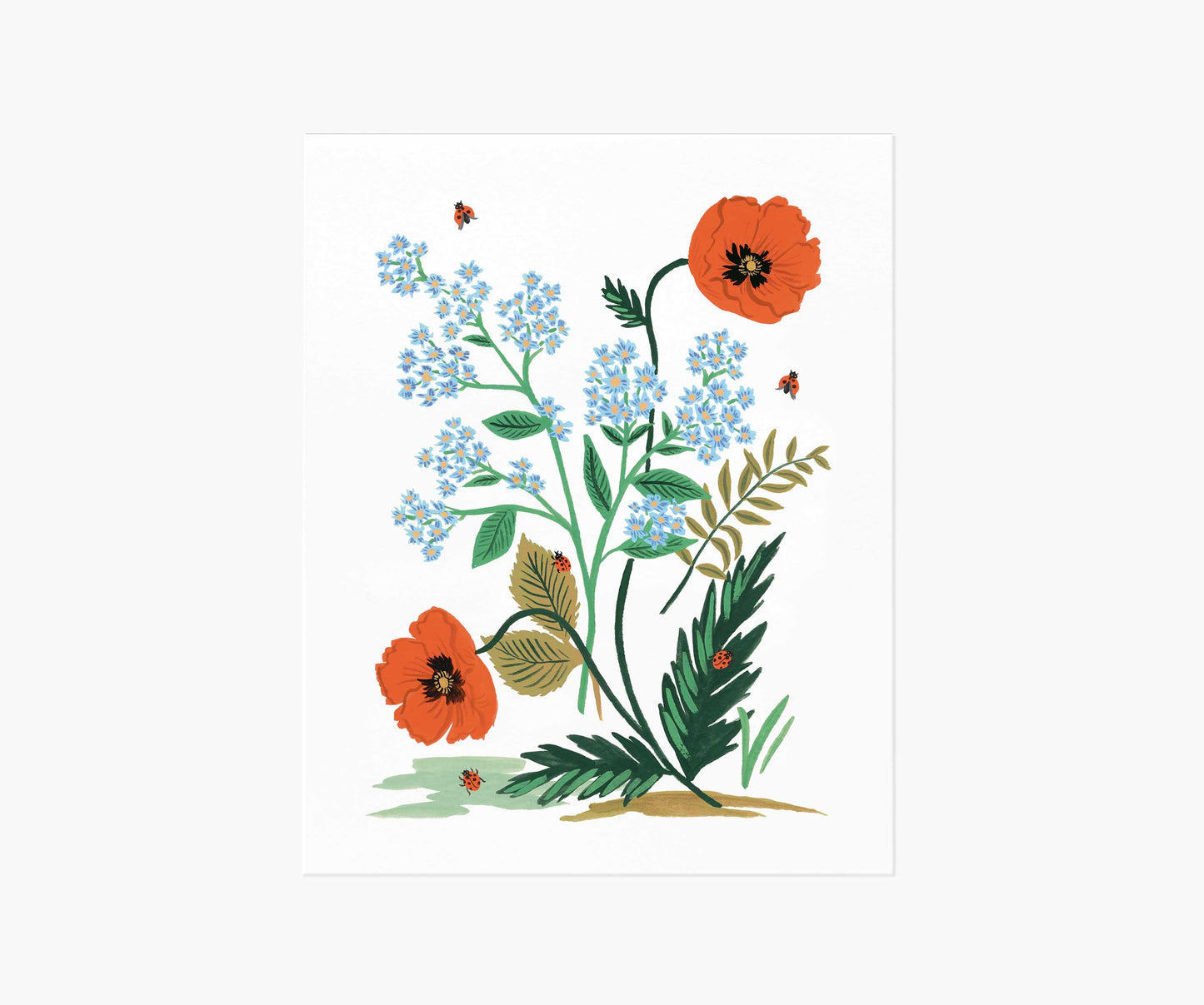 Iceland Poppy Art Print - Premium Design Accessory