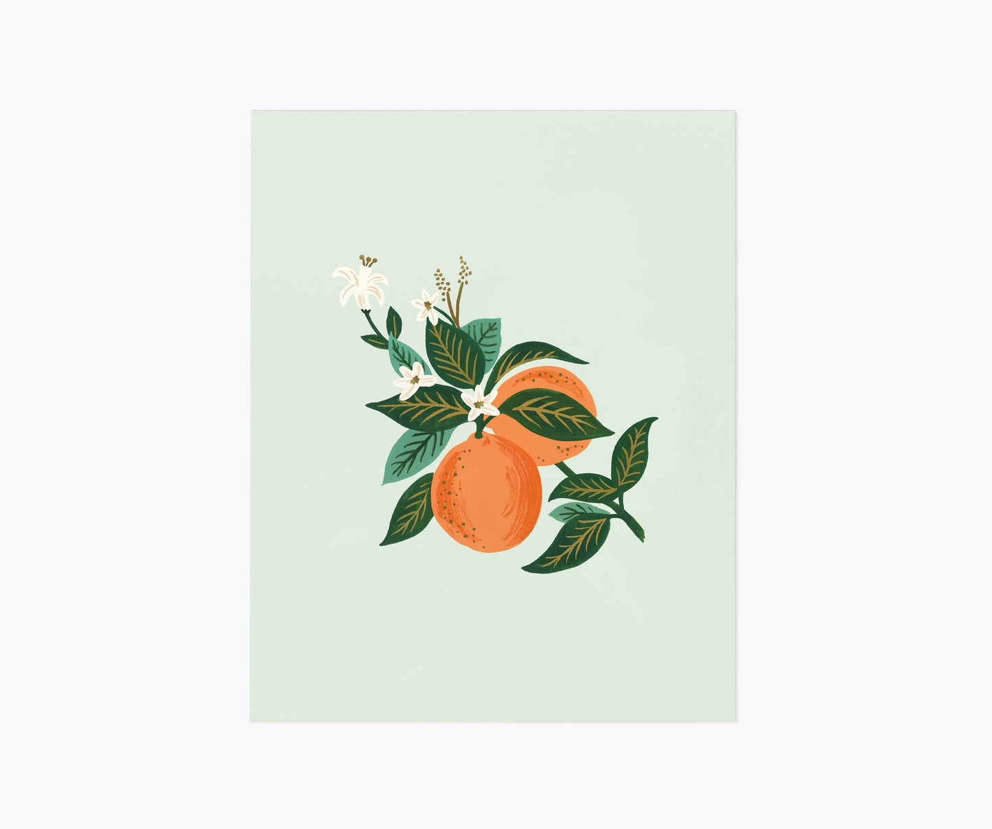 Orange Blossom Art Print - Premium Design Accessory