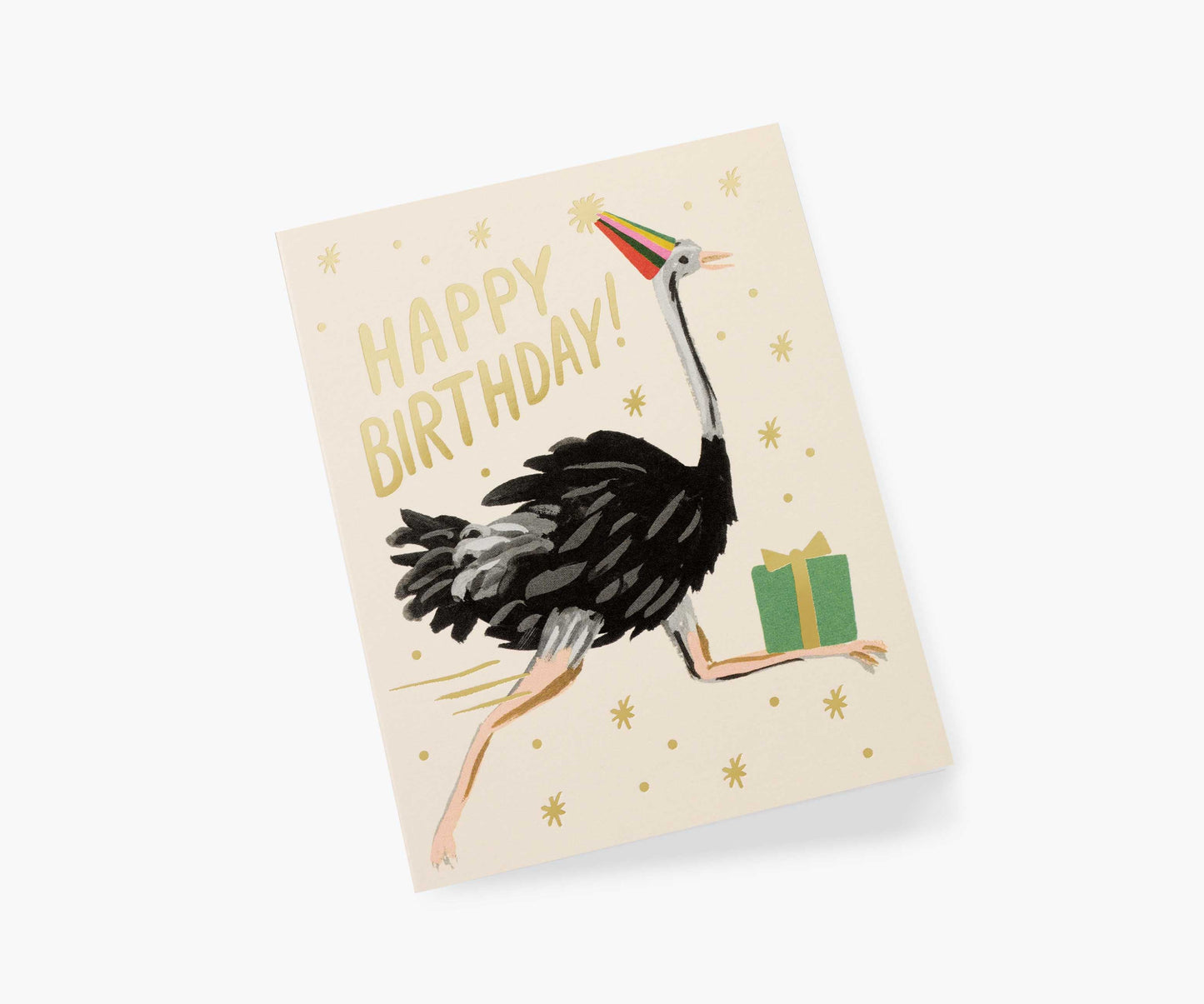Ostrich Birthday Card - Single Card