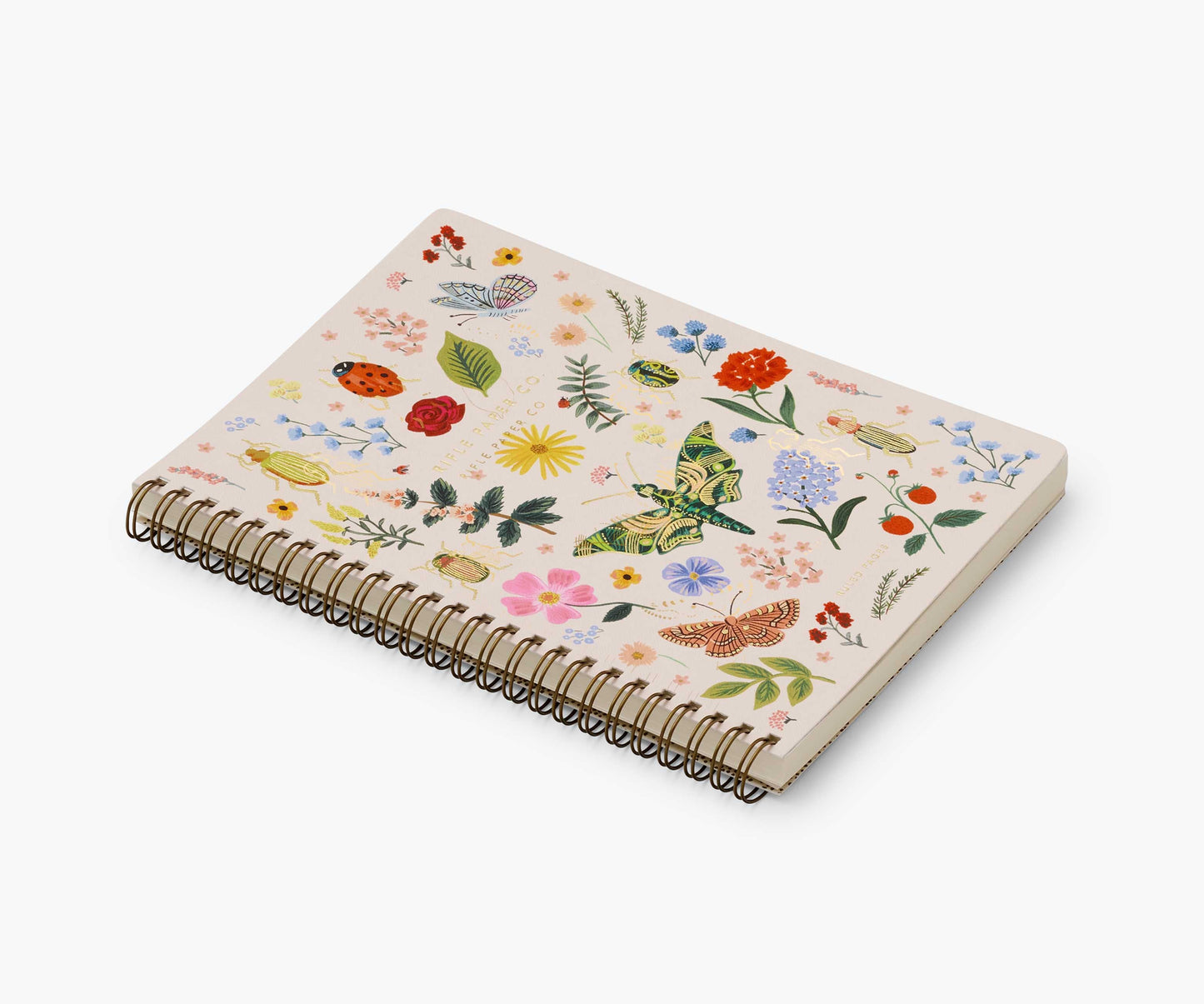 Spiral Notebook - Curio