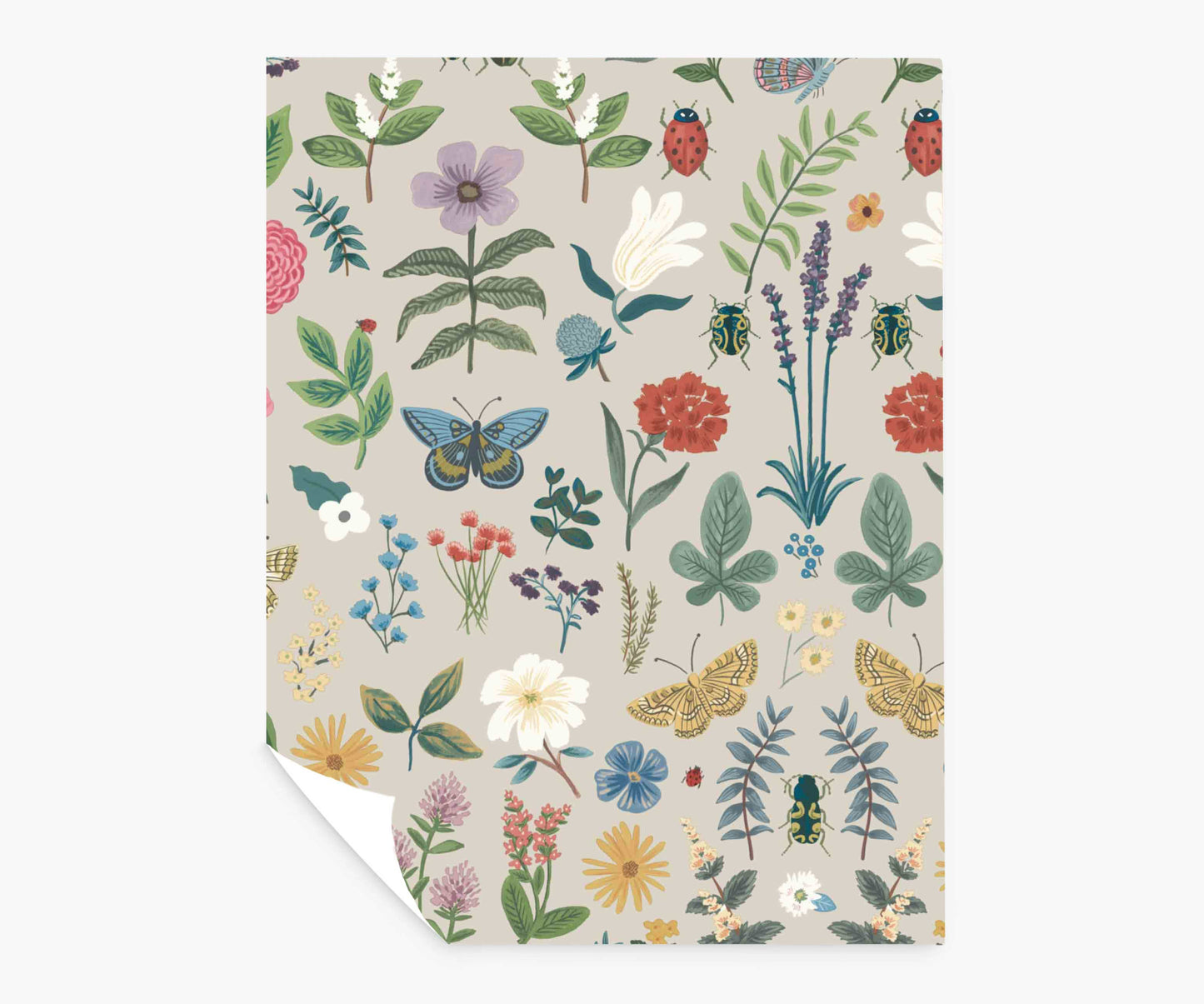 Curio Peel & Stick Wallpaper Sample - Linen - Peel and Stick Wallpaper