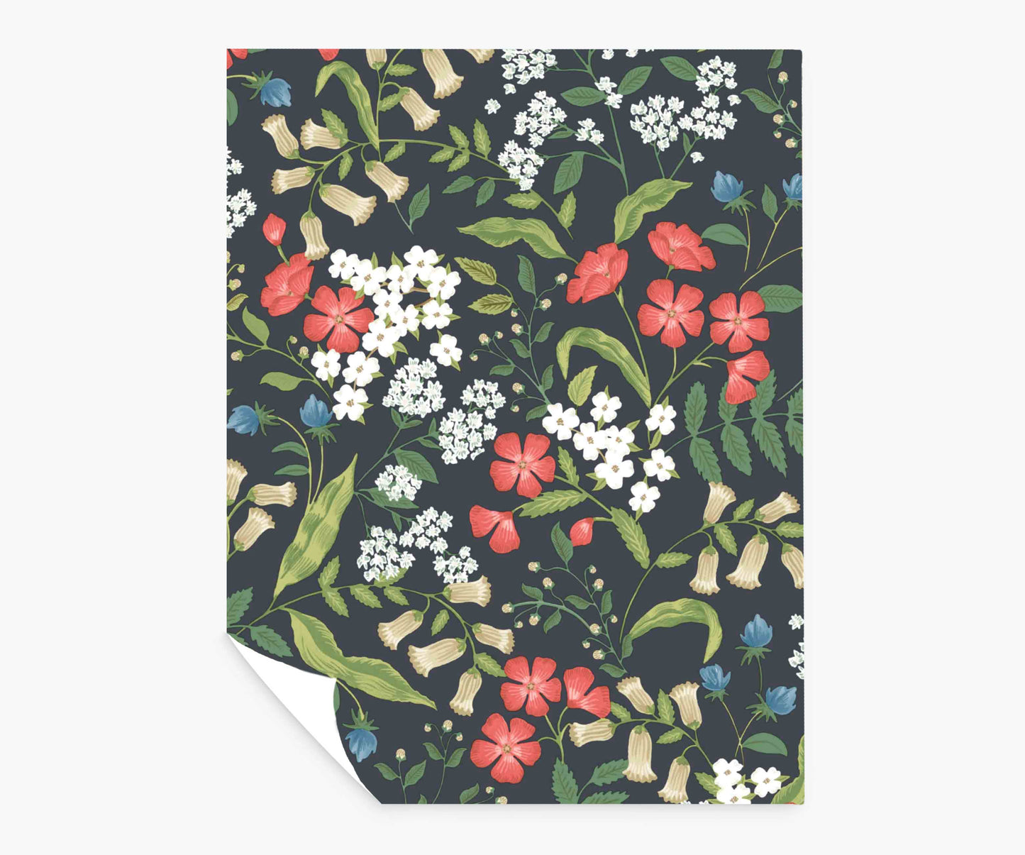 Sweetbrier Peel & Stick Wallpaper Sample - Black - Peel and Stick Wallpaper