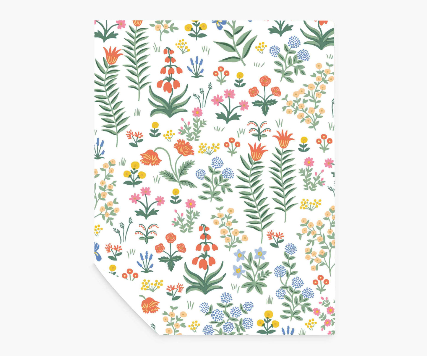 Menagerie Garden Peel & Stick Wallpaper Sample - Rose Multi - Peel and Stick Wallpaper