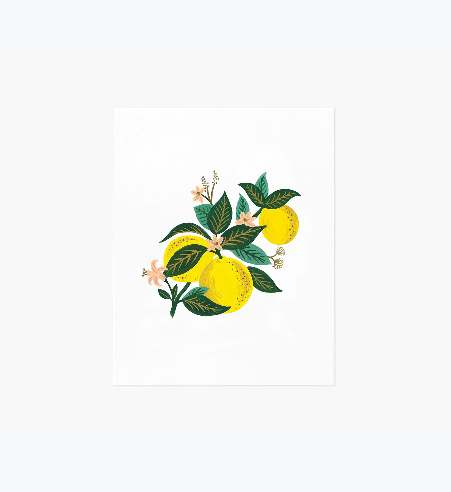 Lemon Blossom Art Print - Premium Design Accessory