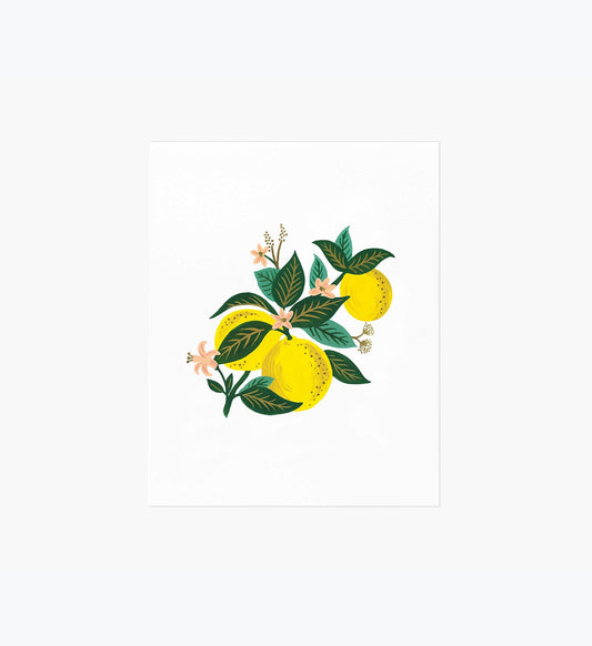 Lemon Blossom Art Print - Premium Design Accessory