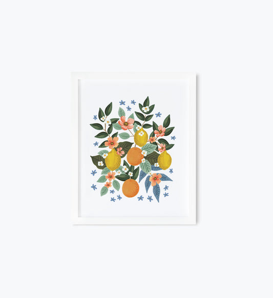 Citrus Grove Cluster Art Print