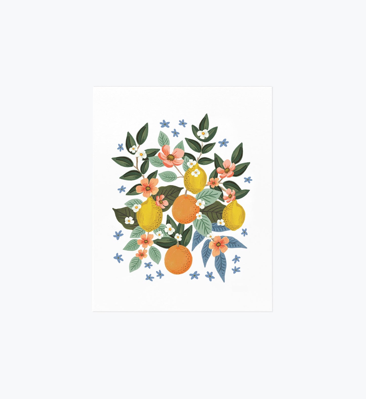Citrus Grove Cluster Art Print - Premium Design Accessory