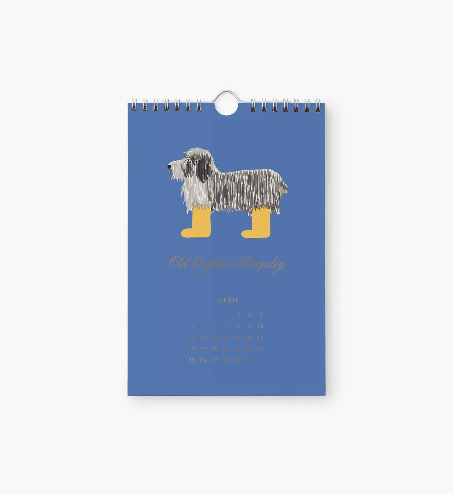 2027 Kitchen Calendar - Dog of the Month