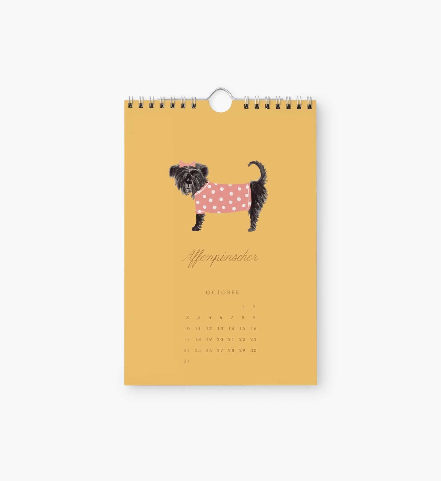 2027 Kitchen Calendar - Dog of the Month