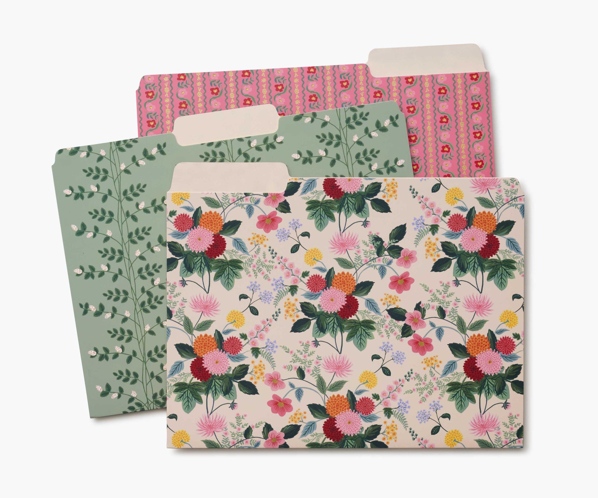 Assorted File Folders - Dahlia - Premium Design Accessory