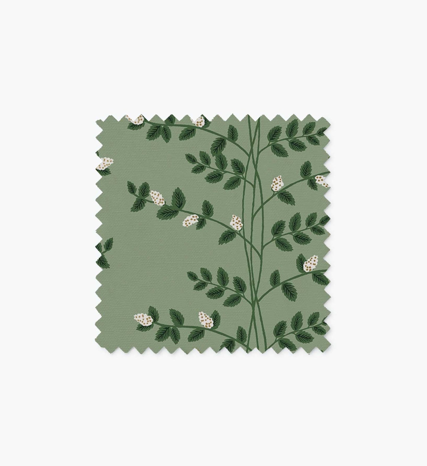 Furniture Fabric Sample - Climbing Vines - Premium Design Accessory