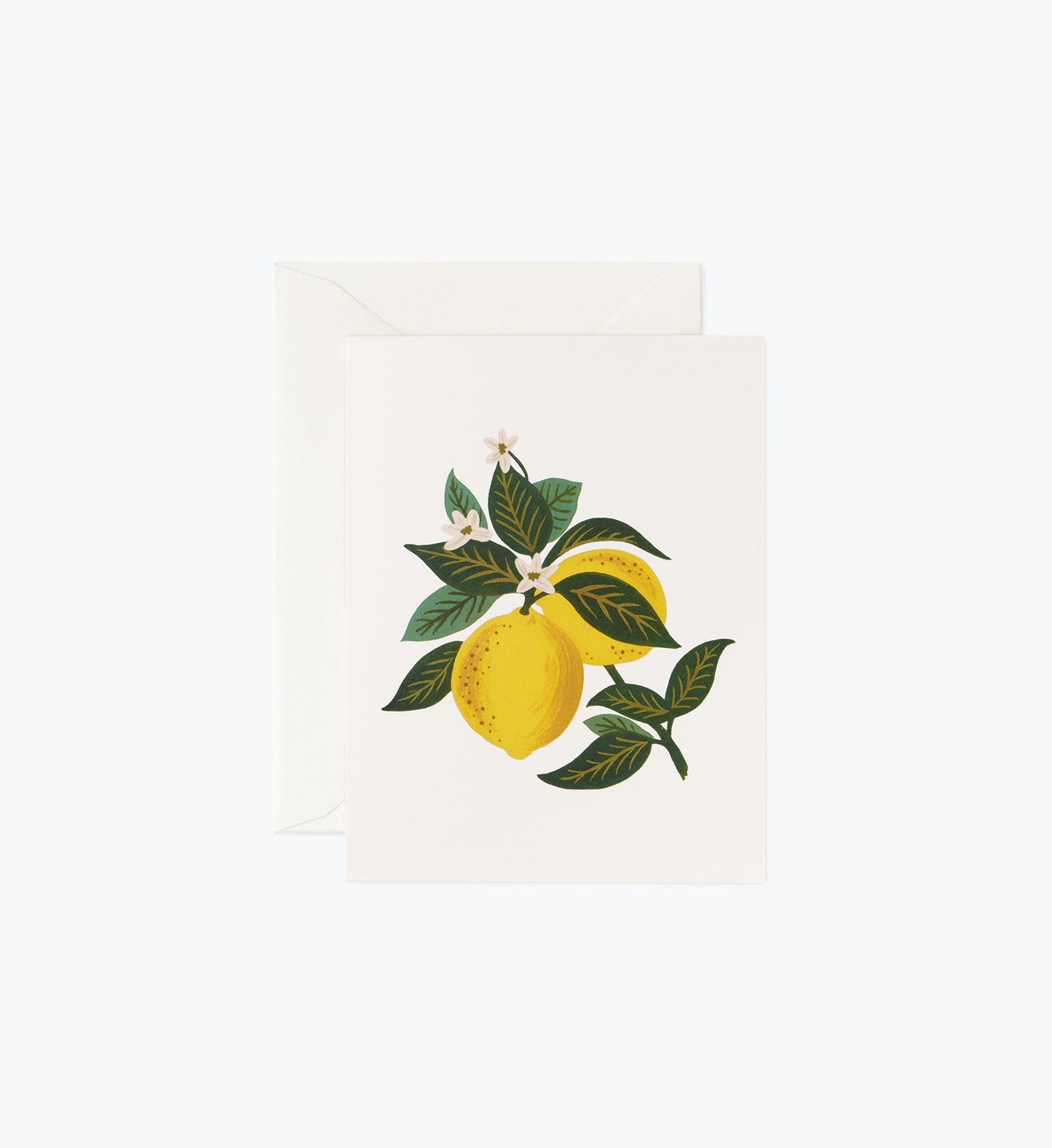Lemon Blossom Everyday Card - Single Card - Greeting Card with Envelope