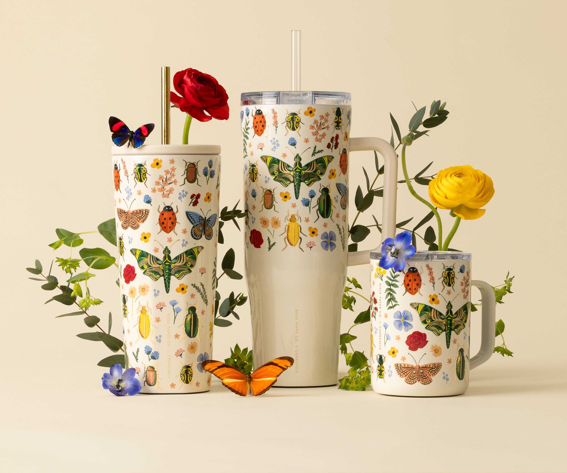 24 oz. Cold Cup - Curio
