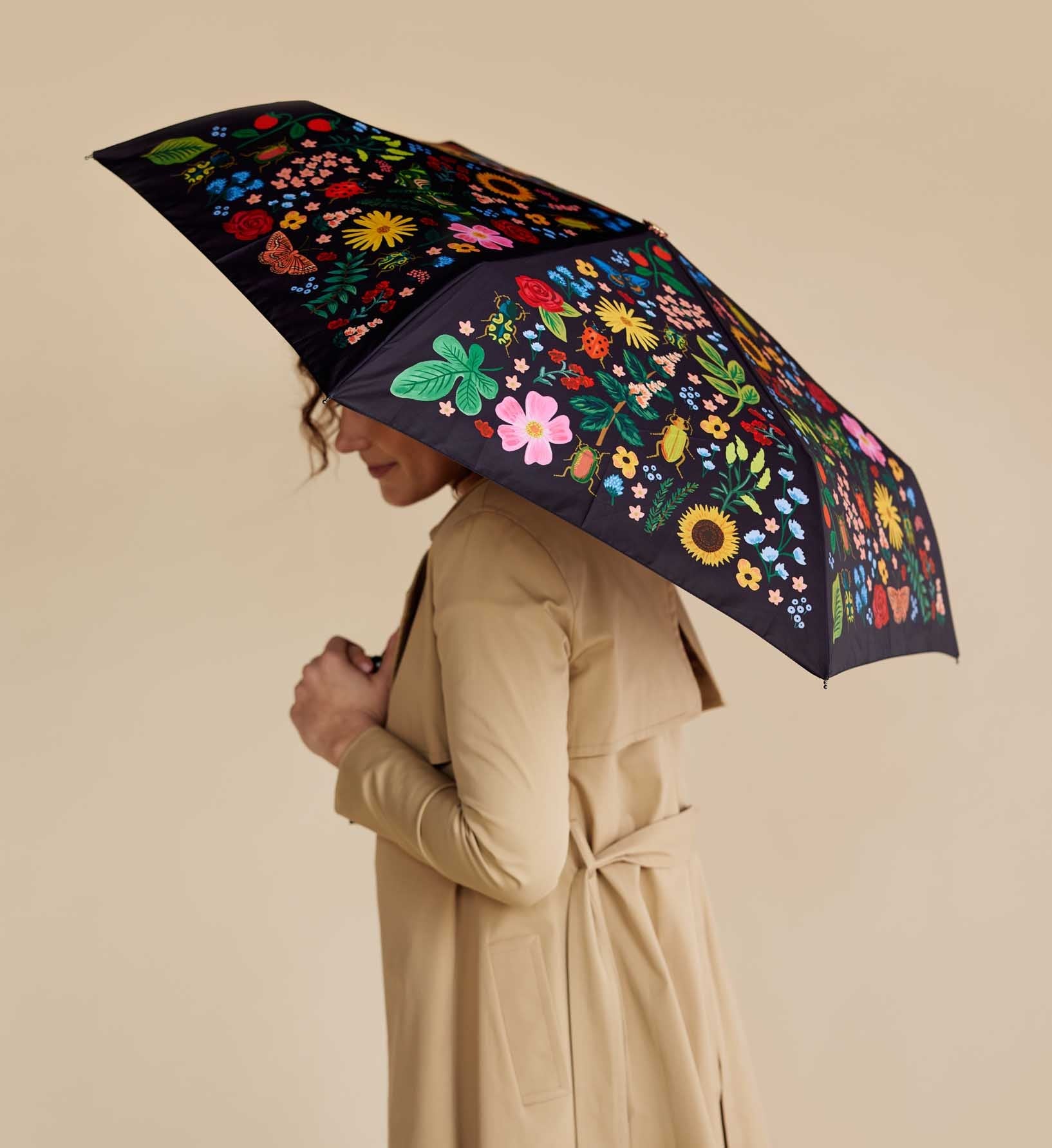 Umbrella - Curio