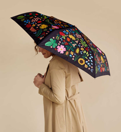 Umbrella - Curio