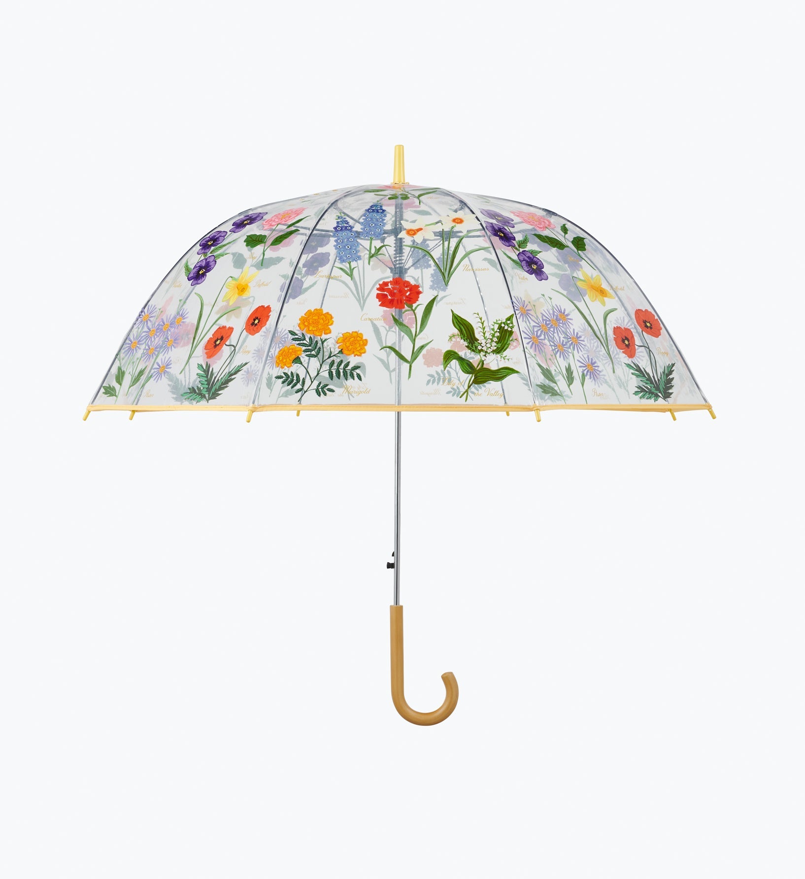 Umbrella - Garden Study - Premium Design Accessory