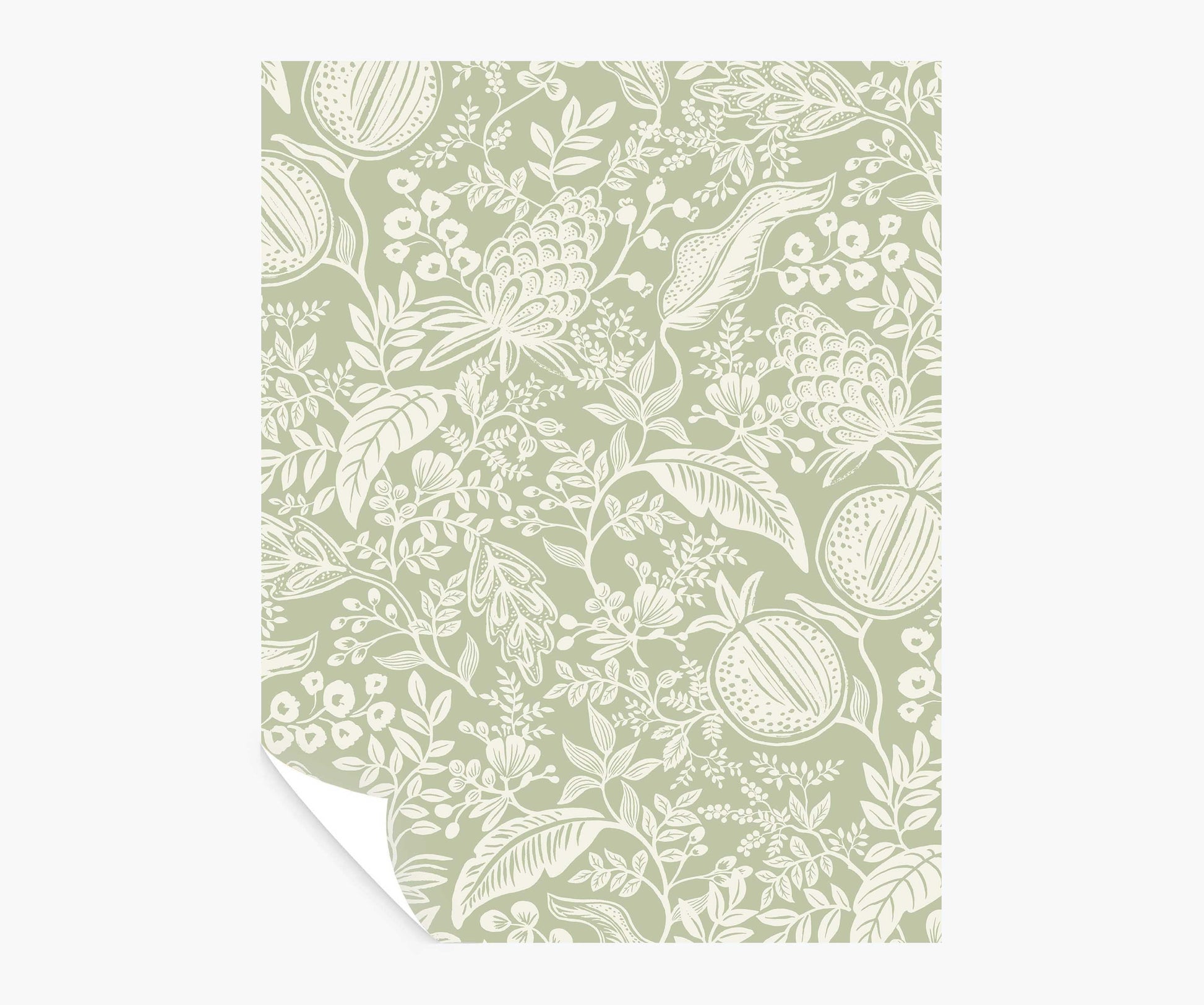 Pomegranate Peel & Stick Wallpaper Sample - Pistachio & White - Peel and Stick Wallpaper