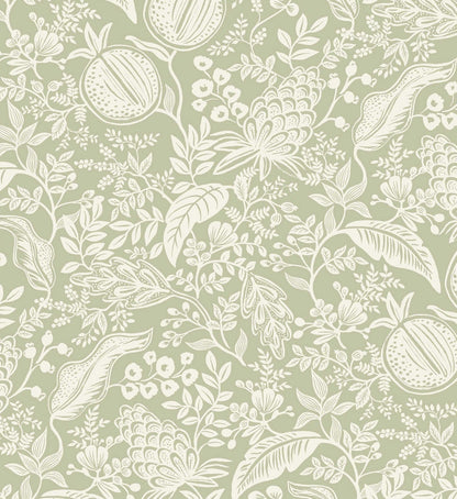 Pomegranate Peel & Stick Wallpaper - Pistachio & White