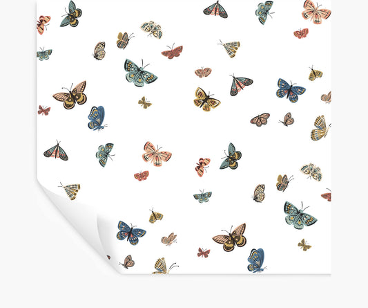 Butterfly House Peel & Stick Wallpaper - White - Peel and Stick Wallpaper