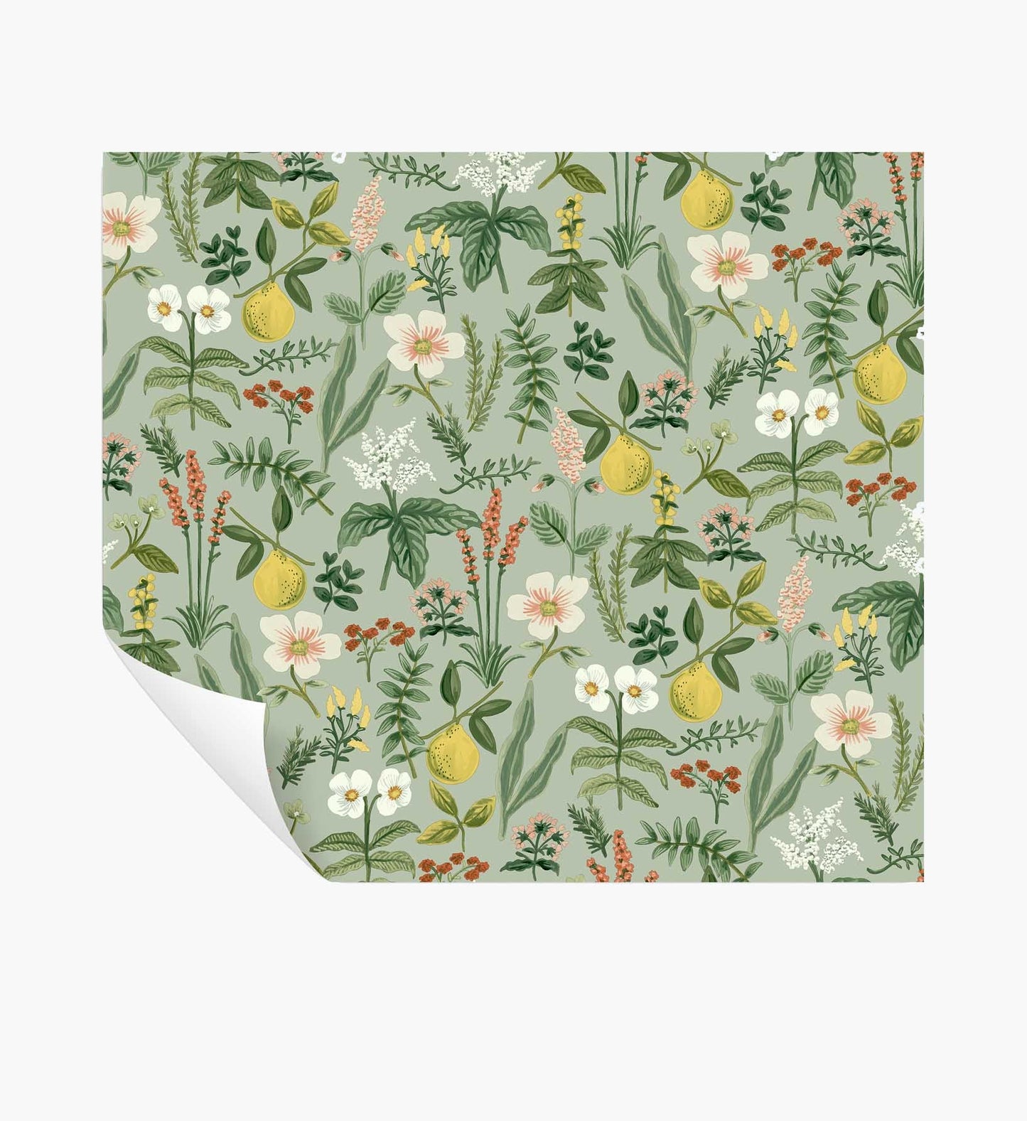 Herb Garden Peel & Stick Wallpaper - Sage - Peel and Stick Wallpaper