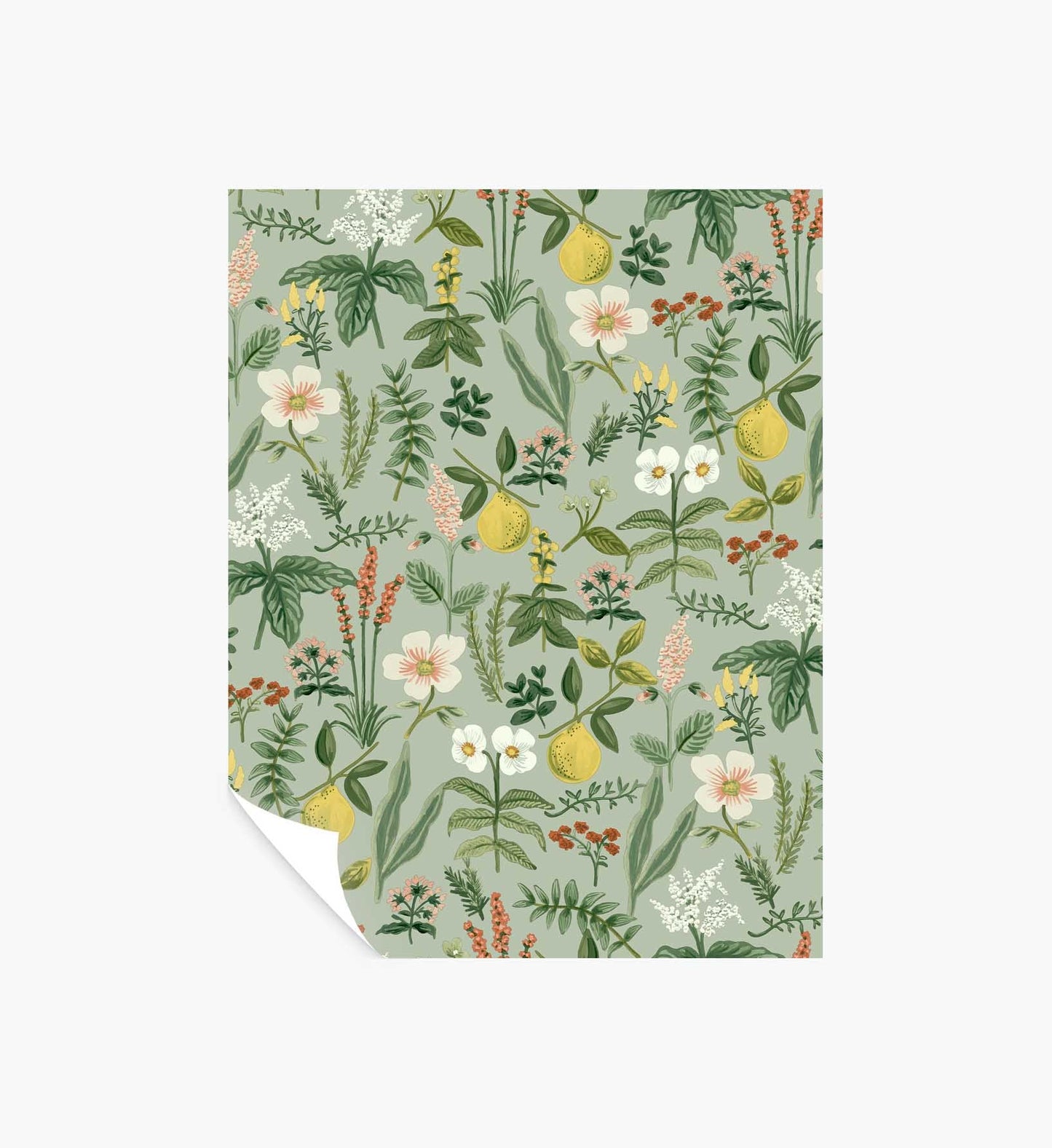 Herb Garden Peel & Stick Wallpaper Sample - Sage - Peel and Stick Wallpaper