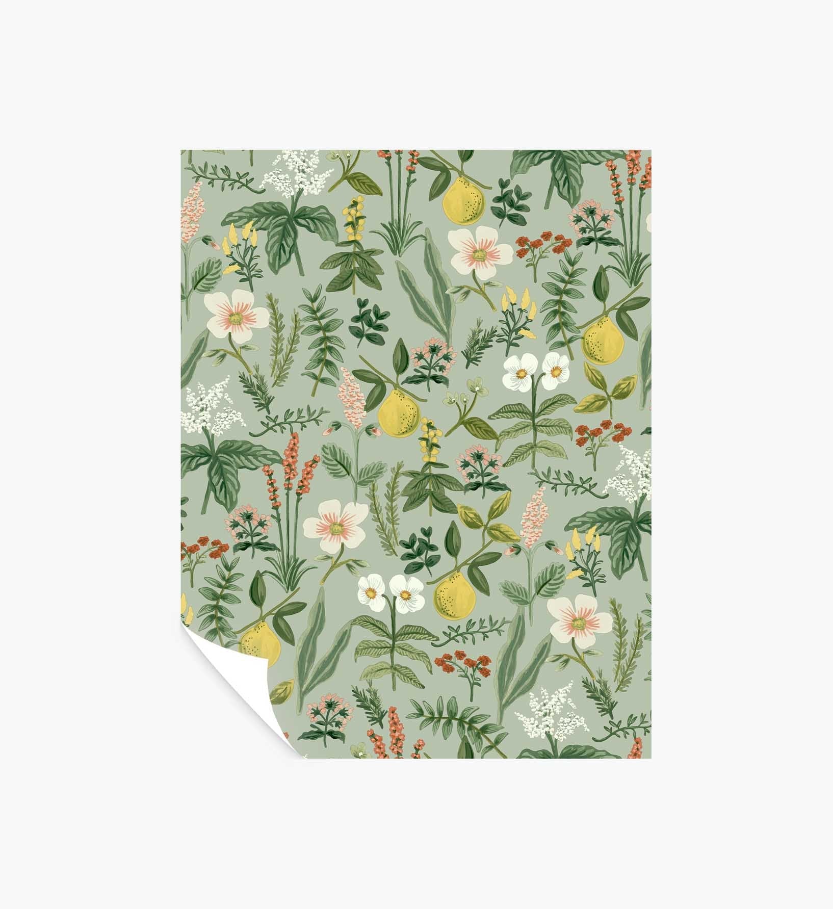 Herb Garden Peel & Stick Wallpaper Sample - Sage - Peel and Stick Wallpaper