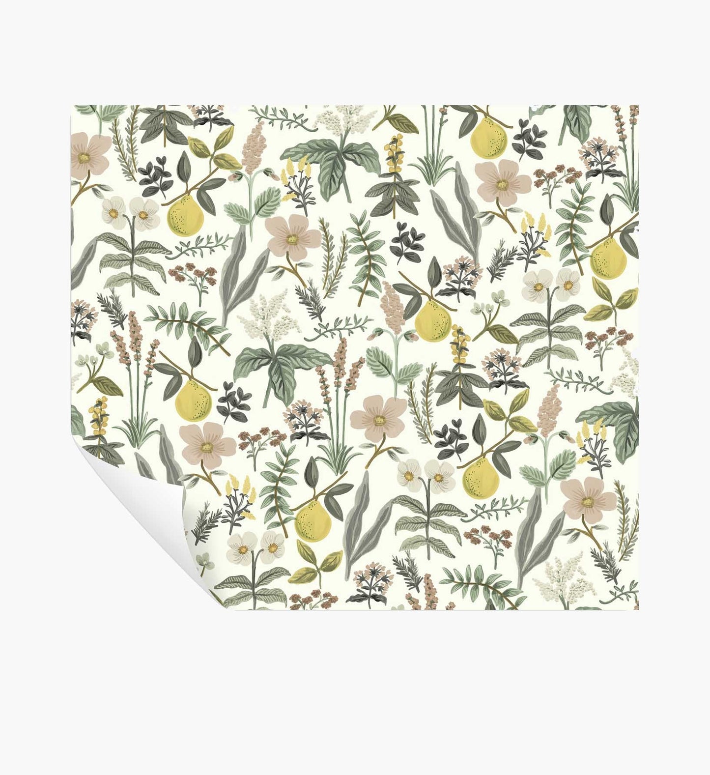 Herb Garden Peel & Stick Wallpaper - Cream - Peel and Stick Wallpaper