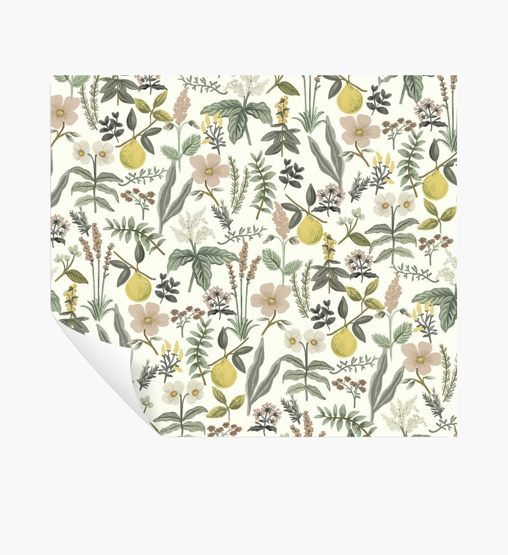 Herb Garden Peel & Stick Wallpaper - Cream - Peel and Stick Wallpaper