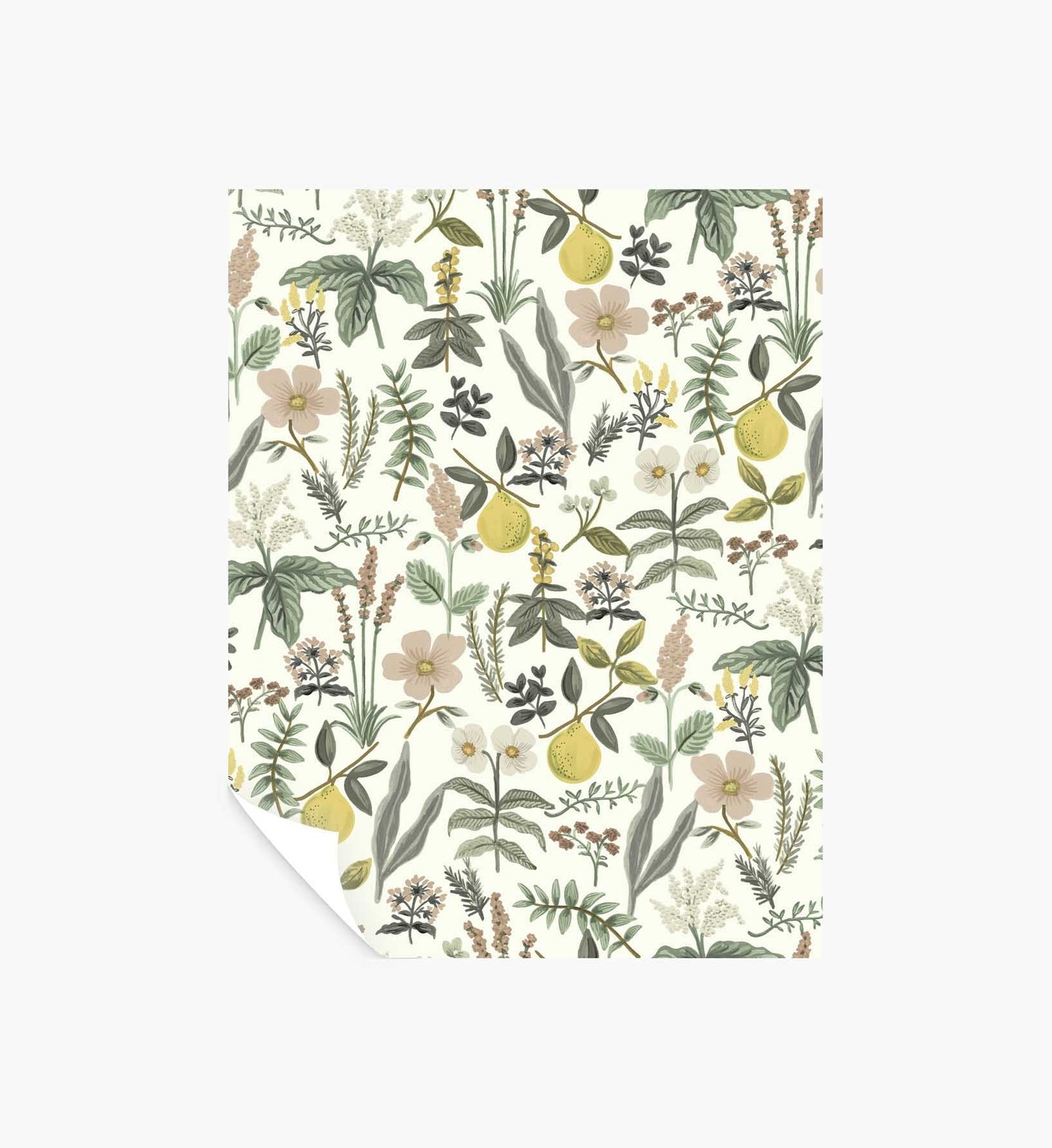 Herb Garden Peel & Stick Wallpaper Sample - Cream - Peel and Stick Wallpaper