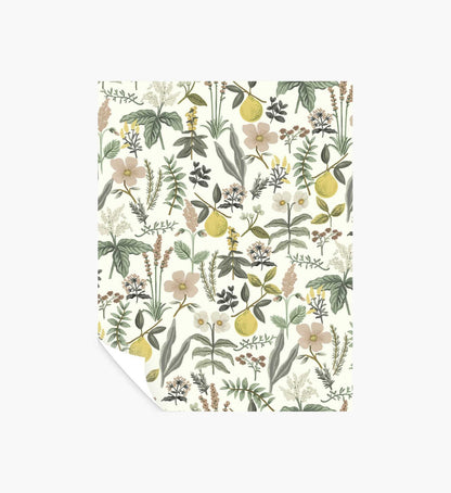 Herb Garden Peel & Stick Wallpaper Sample - Cream - Peel and Stick Wallpaper