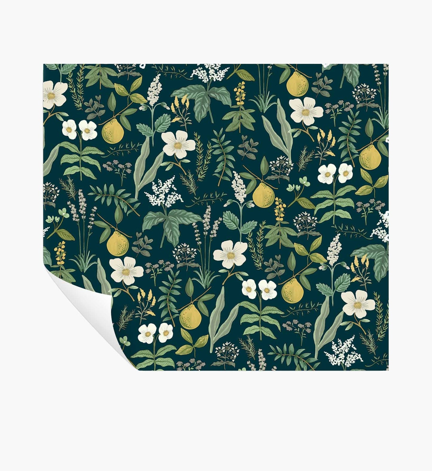 Herb Garden Peel & Stick Wallpaper - Navy - Peel and Stick Wallpaper