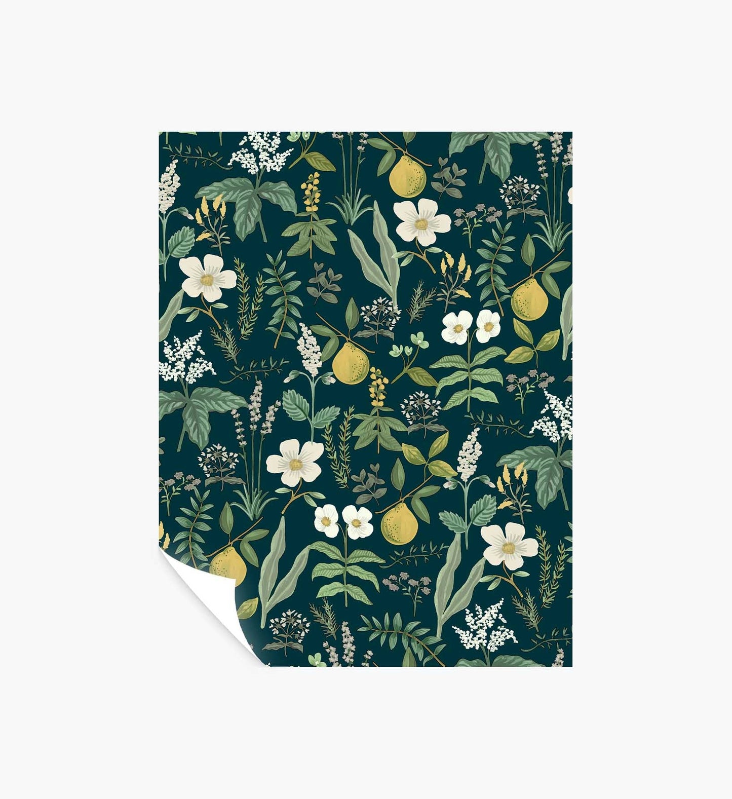 Herb Garden Peel & Stick Wallpaper Sample - Navy - Peel and Stick Wallpaper