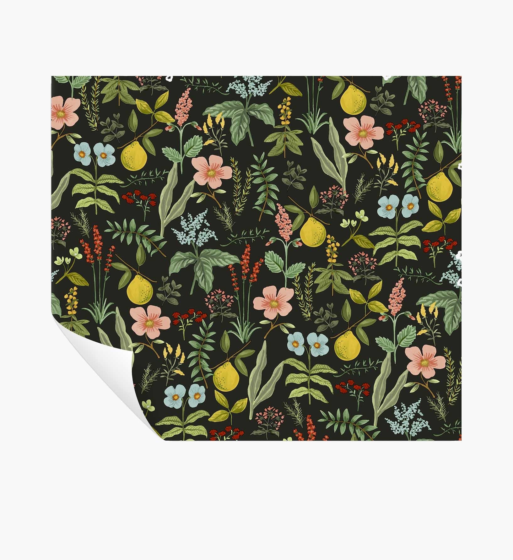 Herb Garden Peel & Stick Wallpaper - Black - Peel and Stick Wallpaper
