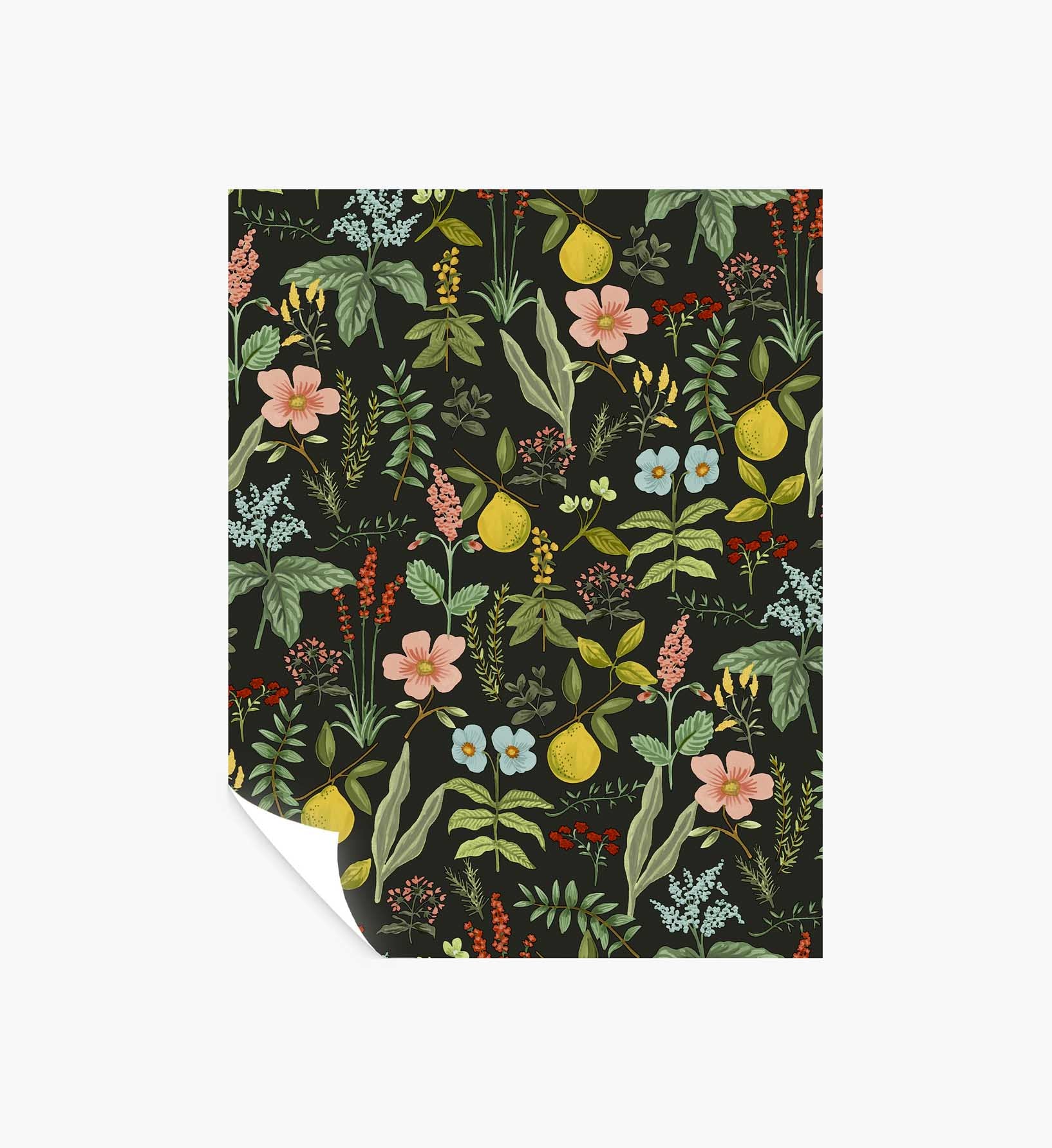 Herb Garden Peel & Stick Wallpaper Sample - Black - Peel and Stick Wallpaper