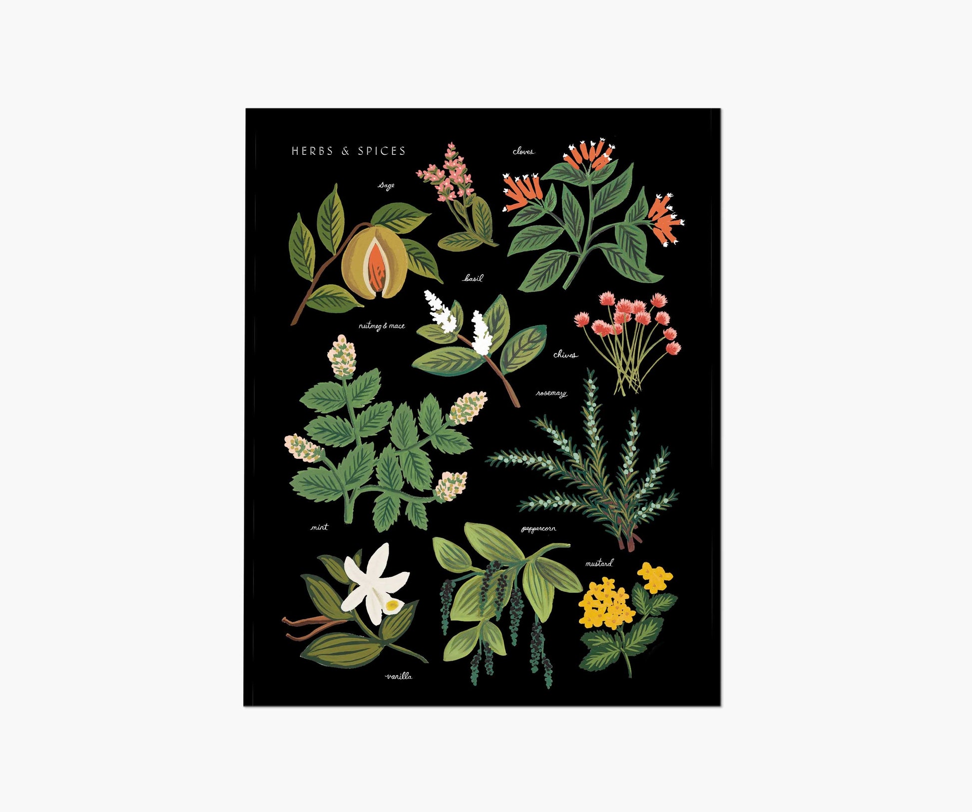 Herbs & Spices Charcoal Art Print - Premium Design Accessory