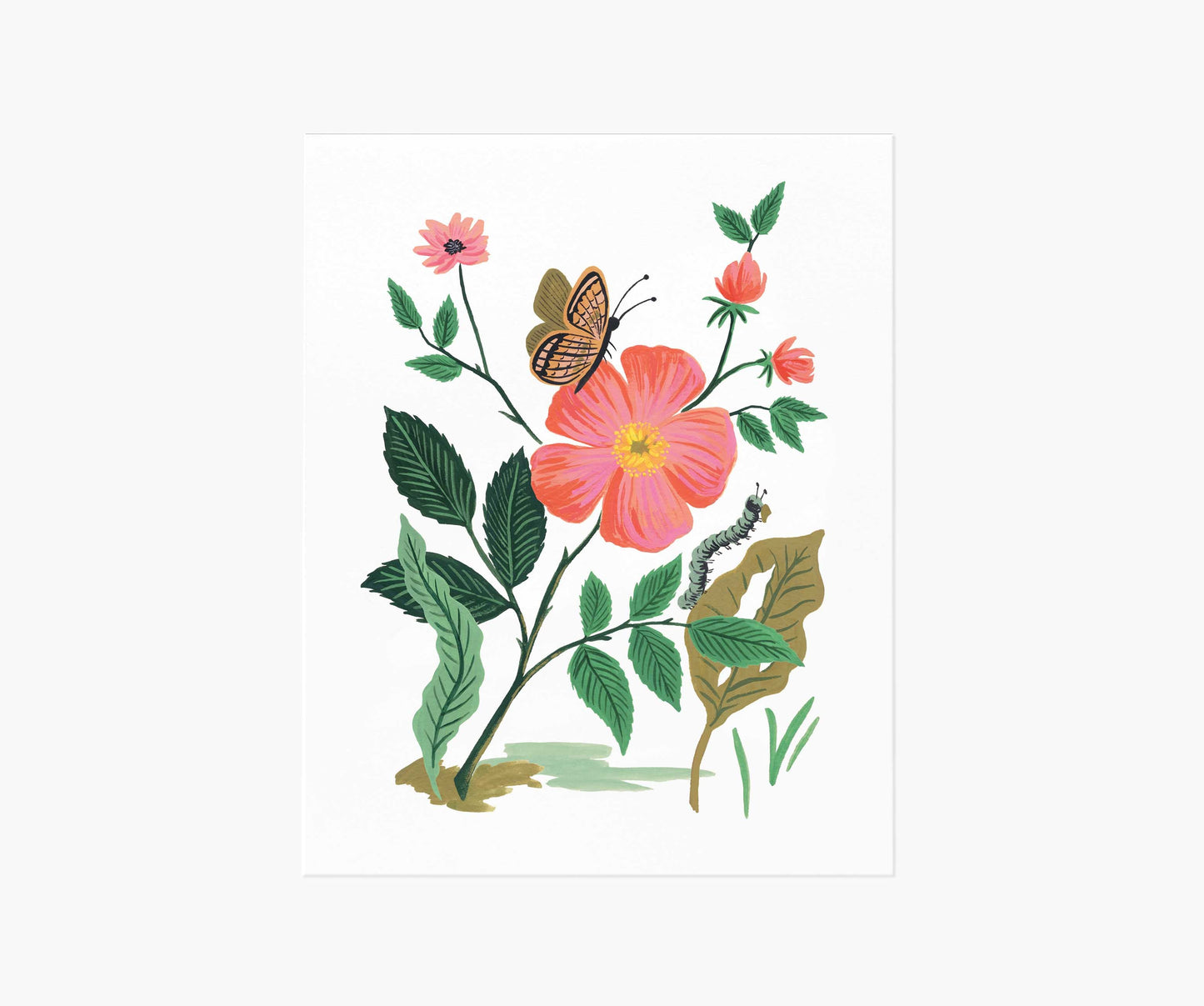 Garden Rose Art Print - Premium Design Accessory
