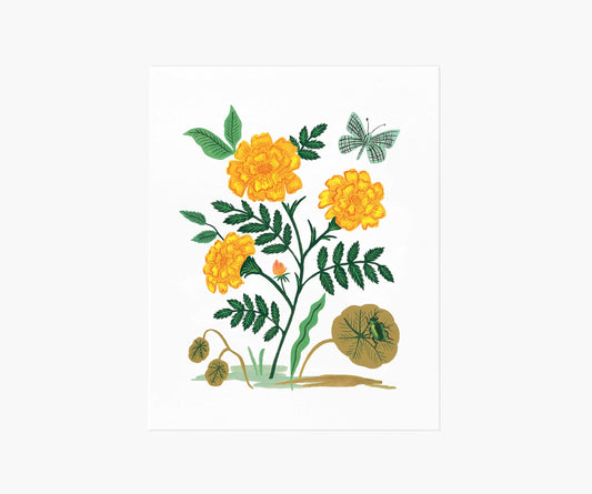 French Marigold Art Print - Premium Design Accessory