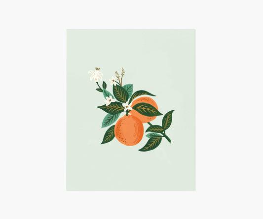 Orange Blossom Art Print - Premium Design Accessory