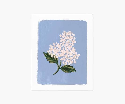 Hydrangea Bloom Blue Art Print - Premium Design Accessory