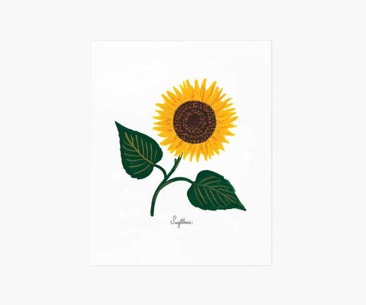 Sunflower Art Print - Premium Design Accessory