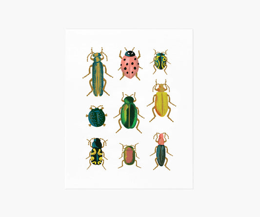 Curio Art Print - Premium Design Accessory