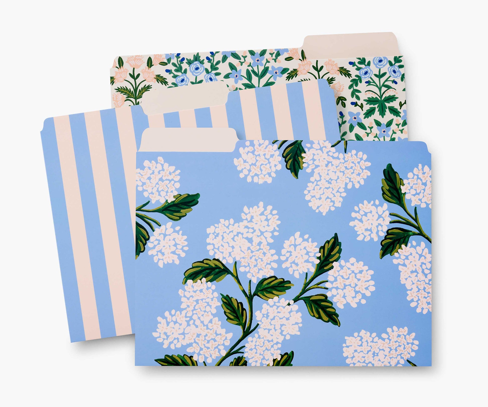 Assorted File Folders - Hydrangea - Premium Design Accessory