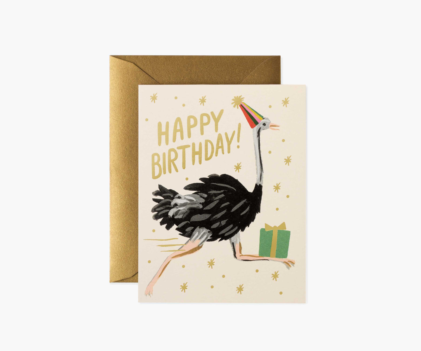 Ostrich Birthday Card - Single Card - Greeting Card with Envelope