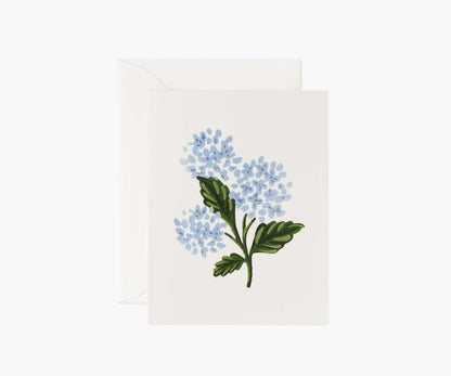 Hydrangea Bloom Everyday Card - Single Card - Greeting Card with Envelope