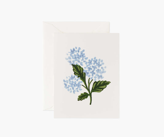 Hydrangea Bloom Everyday Card - Single Card - Greeting Card with Envelope