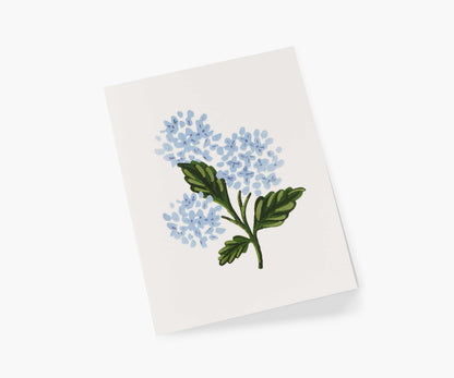 Hydrangea Bloom Everyday Card - Single Card