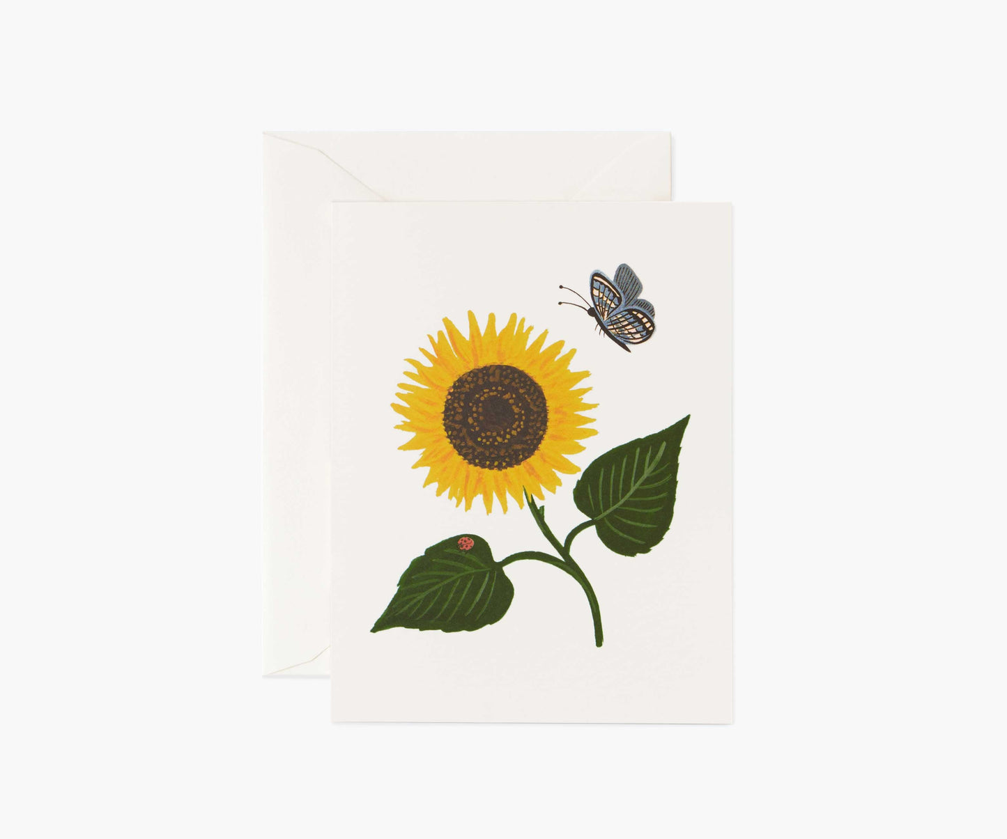 Sunflower Everyday Card - Single Card - Greeting Card with Envelope
