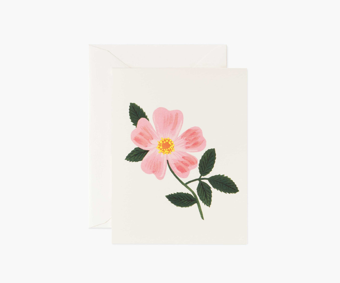 Wild Prairie Rose Everyday Card - Single Card - Greeting Card with Envelope